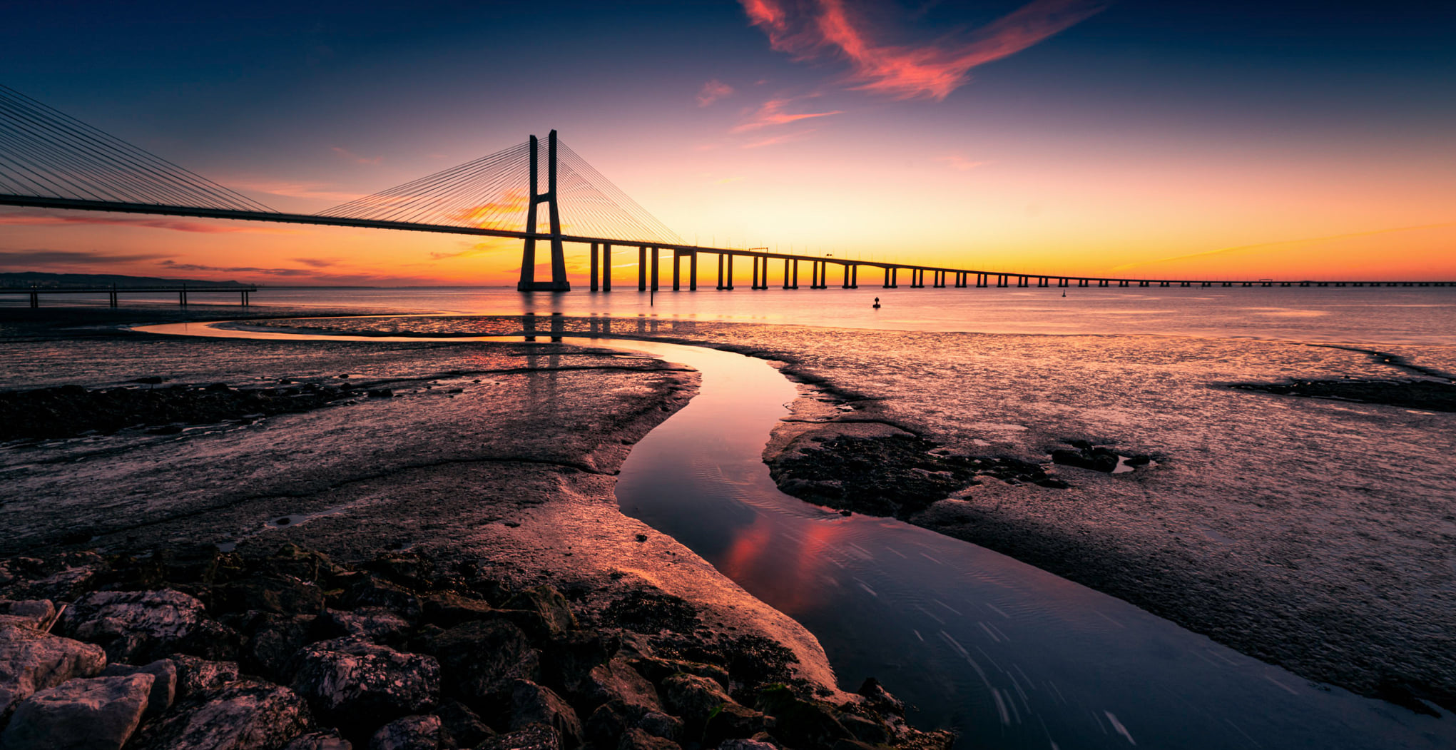 Vasco da Gama Bridge